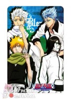 Bleach 016